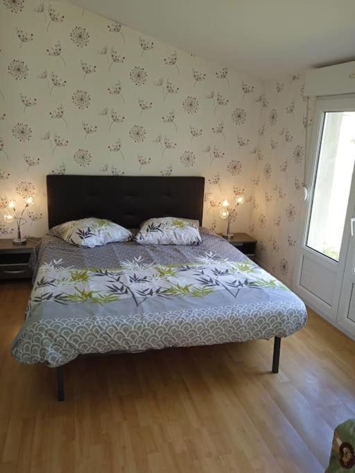 St Malo Maison Avec Jardin Proche Gare Plage Intramuros Chien Admis Parking Gratuit Saint-Malo Exteriér fotografie